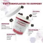 Cranberry D-Mannose Urinary Tract Support Supplement for Cats and Dogs - Cranberry Extract, D-Mannose, Vitamin C - Bladder and UTI Treatment - Made in USA - 120 Soft Chews - Image 2