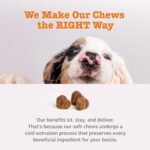 Zesty Paws Probiotics for Dogs - Digestive Enzymes for Gut Flora, Digestive Health, Diarrhea & Bowel Support - Clinically Studied DE111 - Dog Supplement Soft Chew for Pet Immune System - Adv, 90ct - Image 7