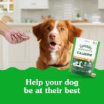Greenies Supplements Calming Chews for Dogs Chicken Flavor, 7.3 oz. Container of 40 ct. Soft Chews Dog Calming Supplements - Image 3