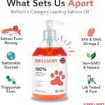 Salmon Oil for Dogs - Healthy Skin & Coat, All Natural Norwegian Fish Oil Food Supplement for Pets, Omega 3 EPA DHA, Ideal for Shedding, Allergy, Itching, Dry Skin, Joint & Bone Health - 16.9 Oz - Image 3