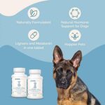 PranaPets Lignans & Melatonin Blend Naturally Aids in Relieving Symptoms of Cushing's Disease in Dogs | Helps Promote Healthy Adrenal Balance & Overall Well-Being | 1 MG Melatonin, 10 MG Lignans - Image 4