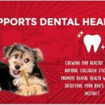 | Healthy Chewers | Natural Collagen and Beef Sticks for Dogs | 100 Count | High Protein and Limited Ingredient Dog Chews - Image 3