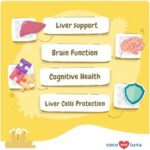 Same for Dogs - 90 Soft Chews - S-Adenosyl-L-Methionine - with MCT Oil for Better Absorption - Promotes Brain Health, Liver Support, and Cognitive Function - Image 2