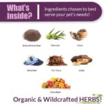 Amber NaturalZ Vibactra Plus Herbal Supplement for Dogs, Cats, Birds, Guinea Pigs, and Rabbits | Herbs for Immune Health and Yeast Balance | 1 Fluid Ounce Glass Bottle | Manufactured in The USA - Image 3