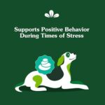 Greenies Supplements Calming Chews for Dogs Chicken Flavor, 7.3 oz. Container of 40 ct. Soft Chews Dog Calming Supplements - Image 4