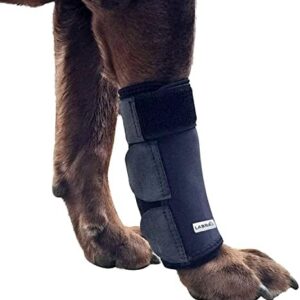 Labra Dog Canine Front Leg Compression Brace Wrap Sleeve, Protects Wounds, Braces, Heals, and Prevents Injuries and Sprains, Helps with Loss of Stability Caused by Arthritis - Large/Extra Large