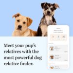 Wisdom Panel Essential Dog DNA Kit: Most Accurate Test for 365+ Breeds, 30 Genetic Health Conditions, 50+ Traits, Relatives, Ancestry - 1 Pack - Image 5