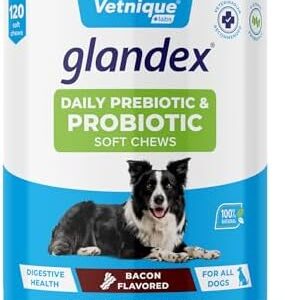 Vetnique Glandex Daily Probiotics for Dogs with Digestive Enzymes and Prebiotics for Optimal Gut Health & Immune Support with Fiber, All Natural Bacon Flavor Soft Chews, 120 Dog Probiotic Chews