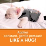 ThunderShirt for Dogs, Large, Heather Gray Classic - Dog Anxiety Relief Calming Vest - Image 3