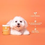 Open Farm Probiotic Chews, Dog Supplement, Dog Vitamins, Supports Normal Flora and Bowel Movement Using Traceable and Vet-Approved Ingredients, 12.7 oz, 90 Count - Image 6