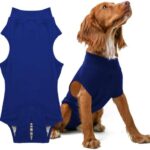 PupShield - Dog Surgery Recovery Suit Male and Female - All Dog Sizes - Easy to Use Anti Licking Design Breathable Comfortable - Spay & Neuter Recovery Suit - Surgical Onesie - Cone Alternative