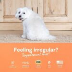 Open Farm Probiotic Chews, Dog Supplement, Dog Vitamins, Supports Normal Flora and Bowel Movement Using Traceable and Vet-Approved Ingredients, 12.7 oz, 90 Count - Image 5
