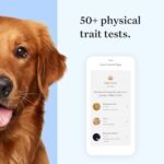 Wisdom Panel Essential Dog DNA Kit: Most Accurate Test for 365+ Breeds, 30 Genetic Health Conditions, 50+ Traits, Relatives, Ancestry - 1 Pack - Image 4