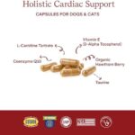 Fera Pets Cardiac Supplement for Dogs & Cats – 60 Capsules​ – Vet Created -Cardiovascular Function & Strength-Taurine, CoQ10, Organic Hawthorne Berry - Image 3