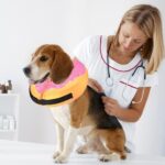 Katoggy Inflatable Dog Cone Collar for Dogs After Surgery, Soft Adjustable Blow up Donut Dog E-Collar for Small Medium Large Dog and Cats - Image 6