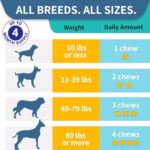 Probiotics for Dogs, Improve Itchy Skin Itchy Ears, Gut Health, Yeast Balance, Allergies, Immunity, Dog Probiotics and Digestive Enzymes with Prebiotics, Reduce Diarrhea (180 Chews, Steak) - Image 6