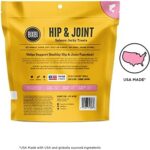 BIXBI Hip & Joint Support Salmon Jerky Dog Treats, 10 Oz - USA Made Grain Free Dog Treats - Glucosamine, Chondroitin For Dogs - High In Protein, Antioxidant Rich, Whole Food Nutrition, No Fillers - Image 2