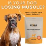 MYOS Canine Muscle Formula - All-Natural Muscle Building Supplement - Helps Reduce Muscle Loss in Aging Dogs and Improve Recovery from Injury or Surgery - Image 4
