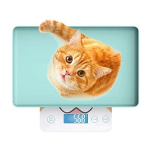 Cute Scale, Digital Pet Scale for Small Animal, Whelping Scale,Mini Precision Gram Weight Balance Scale, High Precision ±0.03oz,Blue,Suitable for Newborn Pets