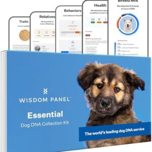 Wisdom Panel Essential Dog DNA Kit: Most Accurate Test for 365+ Breeds, 30 Genetic Health Conditions, 50+ Traits, Relatives, Ancestry - 1 Pack