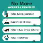 Hemp Calming Chews for Dogs - Dog Calming Chews - Dog Anxiety Relief Treats with Hemp Oil, Turmeric, Valerian, Ginger - Health and Wellness Supplements for Dogs - Hip and Joint Support - 120 Treats - Image 3