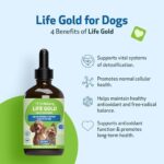 Life Gold for Dogs - Supports Detoxification, Immune System Health, Antioxidants - Vet-Formulated Herbal Supplement – 4 oz (118 ml) - Image 3