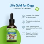 Pet Wellbeing Life Gold for Dogs - Vet-Formulated - Immune Support and Antioxidant Protection - Natural Herbal Supplement 2 oz (59 ml) - Image 3