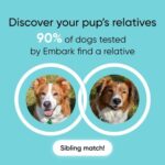 Embark Breed & Health Kit - Dog DNA Test - Discover Breed, Ancestry, Relative Finder, Genetic Health, Traits, Allergy Risk Scores - Image 4