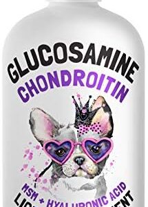Liquid Glucosamine for Dogs Bacon Flavour Chondroitin, MSM & Hyaluronic Acid K9 Supplement Hip and Joint Formula Advanced Mobility Joint Pain Relief Senior Advanced Supplement for All Breeds 32 oz