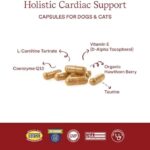 Fera Pets Cardiac Supplement for Dogs & Cats – 120 Capsules​ - Vet Created -Cardiovascular Function & Strength-Taurine, CoQ10, Organic Hawthorne Berry - Image 3