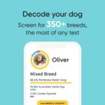 Embark Breed & Health Kit - Dog DNA Test - Discover Breed, Ancestry, Relative Finder, Genetic Health, Traits, Allergy Risk Scores - Image 3