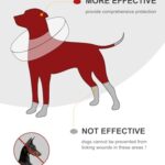 Dog Cone Collar for Small Medium Large Dogs for After Surgery, Pet Inflatable Neck Donut Collar Soft Protective Recovery Cone for Dogs and Cats - Alternative E Collar Does not Block Vision - Pink,S - Image 5