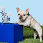 Squishface Wrinkle Paste - 2 Pack - Bulldog, French Bulldog, Pug, English Bulldog – Cleans Wrinkles, Tear Stain, Tail Pockets, and Paws – Anti-Itch Tear Stain Remover & Bulldog Wrinkle Cream, 2 Oz. - Image 3