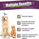 Amber NaturalZ Vibactra Plus Herbal Supplement for Dogs, Cats, Birds, Guinea Pigs, and Rabbits | Herbs for Immune Health and Yeast Balance | 1 Fluid Ounce Glass Bottle | Manufactured in The USA - Image 2
