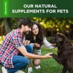 Dog Antibiotics | Natural Antibiotics for Dogs to Help with Infections, Cough, Allergies | Dog UTI Treatment for All Breeds | Puppy & Dog Itch Relief | No GMOs | 2 Oz - Image 8