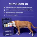 Premium Liquid Glucosamine for Dogs Strength Joint Support, Flexibility, Cartilage & Mobility - Hip and Joint Supplement with Chondroitin, MSM, Collagen & Hyaluronic Acid (32 Oz) - Image 7