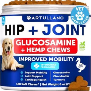 Hemp Hip and Joint Supplement for Dogs - Glucosamine for Dogs Joint Pain Relief - Chews with Chondroitin, MSM, Hemp Oil - Mobility Support, Cartilage Health - For Large, Small breeds - 120 Soft Treats