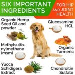 Hemp Chews for Dogs - Glucosamine Chondroitin for Dogs Joint Pain Relief with Hemp Oil, Hip & Joint Supplement Dogs, MSM Turmeric for Dogs Mobility, Dog Joint Supplement, Hemp Dog Treats Joints Health - Image 5