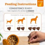 Zesty Paws Probiotics for Dogs - Digestive Enzymes for Gut Flora, Digestive Health, Diarrhea & Bowel Support - Clinically Studied DE111 - Dog Supplement Soft Chew for Pet Immune System - Adv, 90ct - Image 4
