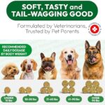 Dog Allergy Relief Chews - 170 Dog Allergy Chews - Itch Relief for Dogs - Omega 3 Fish Oil, Probiotics for Itchy Skin & Hot Spots Allergies, Paw Licking - Dry Skin & Coat Supplement - Immune Health - Image 7