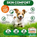 Dog Allergy Relief Chews - 170 Dog Allergy Chews - Itch Relief for Dogs - Omega 3 Fish Oil, Probiotics for Itchy Skin & Hot Spots Allergies, Paw Licking - Dry Skin & Coat Supplement - Immune Health - Image 4