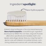 Remineralizing Dog Toothpaste – Vet-Grade, with Nano-Hydroxyapatite, Reverses Early-Stage Decay, Cleans Teeth, Reduces Tartar, Freshens Breath by Arterra Pet Science, Plant-Based, Natural Flavor, 4oz - Image 4
