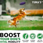 YUMA'S Glucosamine for Dogs - Hip and Joint Supplement for Dogs - 170 Ct - Glucosamine Chondroitin Chews - Joint Pain Relief Supplement with MSM - Advanced Health - Mobility Support - Made in USA - Image 4