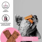 BIXBI Hip & Joint Support Salmon Jerky Dog Treats, 10 Oz - USA Made Grain Free Dog Treats - Glucosamine, Chondroitin For Dogs - High In Protein, Antioxidant Rich, Whole Food Nutrition, No Fillers - Image 3