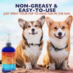 EBPP Dog Sunscreen Sun Skin Protector Spray 8 fl oz - Safe for All Breeds with No Zinc Oxide - Pet Protection and Moisturizer for Skin, Coat, Nose, Ears - Image 6
