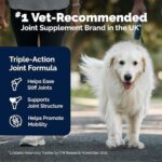 Hip and Joint Supplement - 120 Tablets with Glucosamine, Chondroitin, Omega 3, Hyaluronic Acid, Green Lipped Mussel, & Fish Oil for Dogs - Joint Support Supplement - Senior Dogs - Image 3