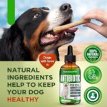Dog Antibiotics | Natural Antibiotics for Dogs to Help with Infections, Cough, Allergies | Dog UTI Treatment for All Breeds | Puppy & Dog Itch Relief | No GMOs | 2 Oz - Image 7