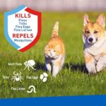 Plus Flea & Tick Spray with Precor For Dogs and Cats; Kills Fleas, Flea Eggs, Flea Larvae, Ticks, and Repels Mosquitoes For Up To 2 Weeks; Controls Flea Reinfestation For Up To 2 Months; 16 Oz - Image 3