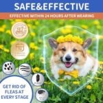 4 Pack Flea Collar for Dogs, 32 Months Flea and Tick Prevention for Dogs, Waterproof Dog Flea Collar, Dog Flea and Tick Treatment, Adjustable Flea and Tick Collar for Dogs Puppy -Blue & Orange - Image 3