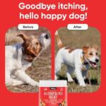 iHeartDogs Allergy & Itch Relief for Dogs with Salmon Oil, Quercetin, Colostrum, Antioxidants and Probiotics - 90 Count - Image 5